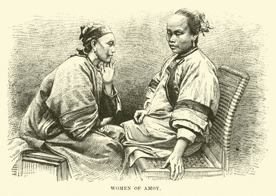 淘的女人 作者 英语学校