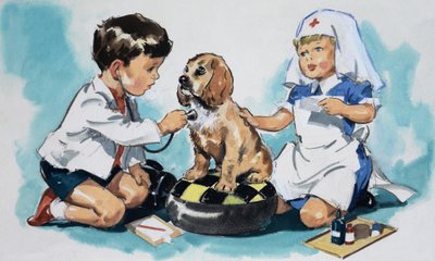 年轻的兽医 作者 英语学校