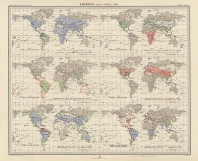 动物地理学：两栖类、无脊椎动物、Urodela、Apoda（彩色石版画） 作者 英语学校