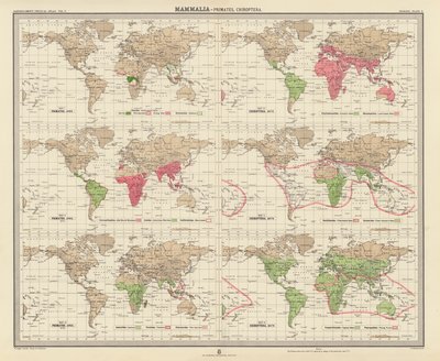 动物地理学：哺乳纲、灵长目、脊兽纲（彩色石版画） 作者 英语学校