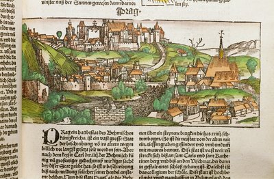  作者 埃里希·莱辛