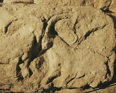  作者 埃里希·莱辛