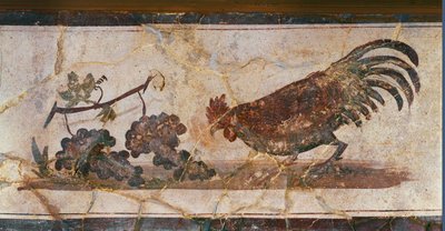  作者 埃里希·莱辛