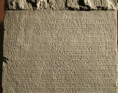  作者 埃里希·莱辛