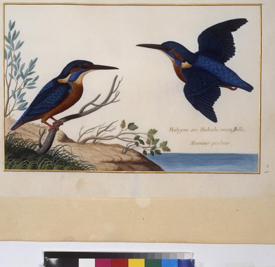  作者 埃里希·莱辛