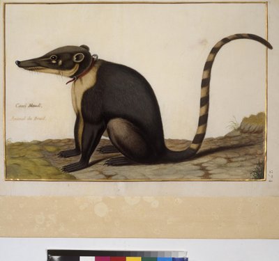  作者 埃里希·莱辛