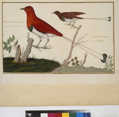  作者 埃里希·莱辛