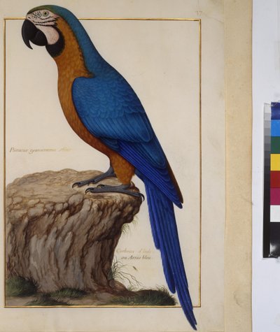  作者 埃里希·莱辛