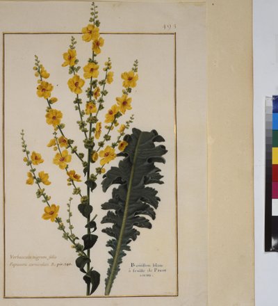  作者 埃里希·莱辛