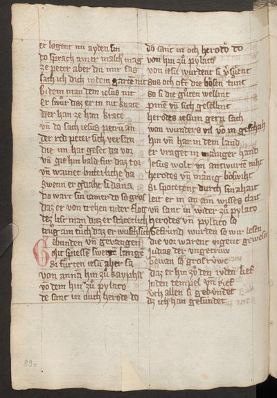  作者 埃里希·莱辛