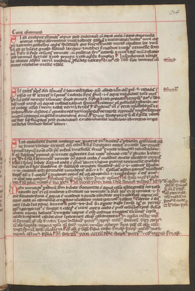  作者 埃里希·莱辛