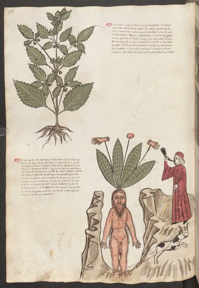  作者 埃里希·莱辛