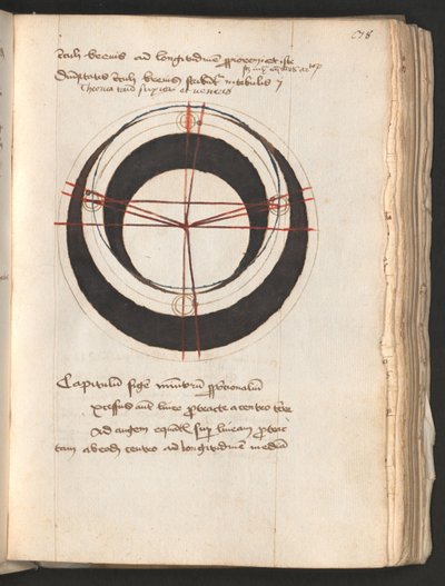  作者 埃里希·莱辛