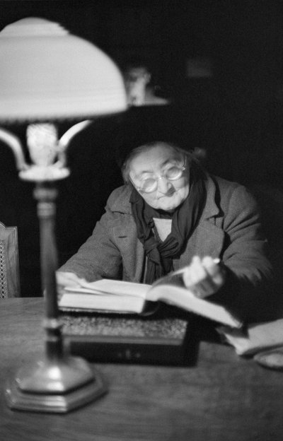 战后维也纳的生活：一位在阅览室看书的老太太，维也纳 作者 埃里希·莱辛