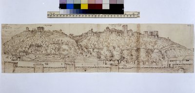  作者 埃里希·莱辛