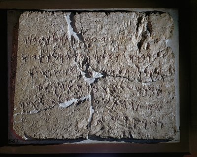  作者 埃里希·莱辛