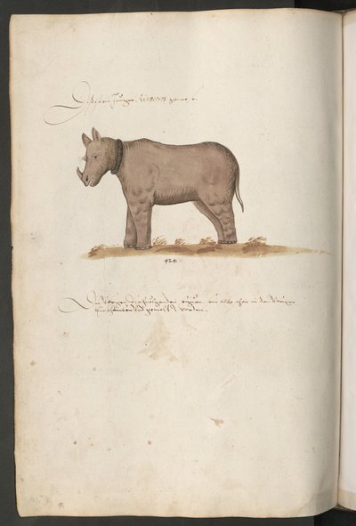  作者 埃里希·莱辛