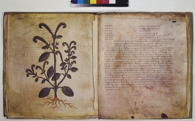  作者 埃里希·莱辛