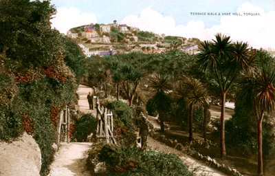 20世纪初，德文郡托基的Terrace Terrace Walk和Vane Hill。 作者 恩·毕晓普