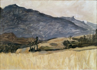 瓦莱州风景 作者 欧内斯特·比勒（Ernest Bieler）