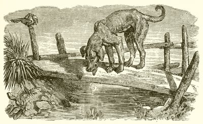 狗和他的影子 作者 Ernest Henry Griset