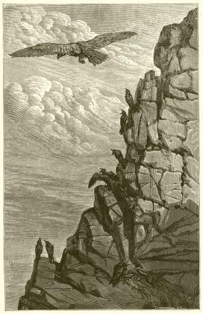 鹰与乌鸦 作者 Ernest Henry Griset