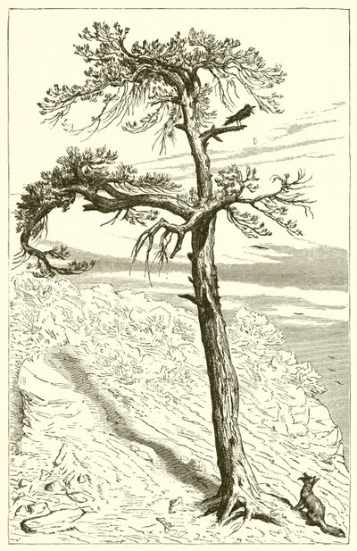 福克斯和船员 作者 Ernest Henry Griset