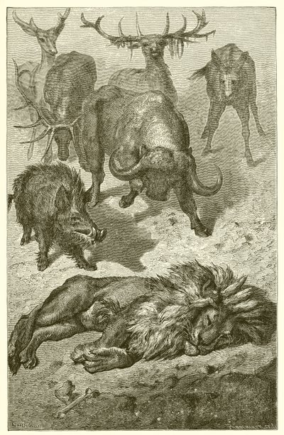 老狮子 作者 Ernest Henry Griset