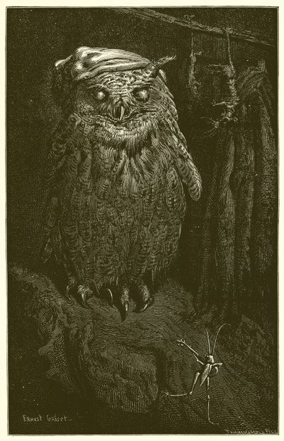 猫头鹰和蚱蜢 作者 Ernest Henry Griset