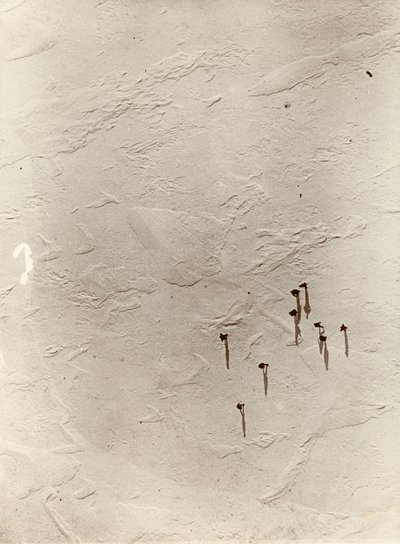 从热气球上俯瞰高原上的 "发现 "号（1901 年）。摘自欧内斯特-亨利-沙克尔顿爵士的画册《国家南极探险（1901-1903 年） 作者 欧内斯特·亨利·沙克尔顿
