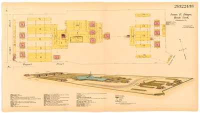 Hexamer普查;卷25，板2432-2433,1891（手工彩色雕刻） 作者 欧内斯特（Ernest Hexamer）