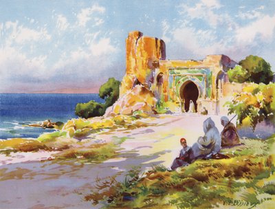 Environs of Rabat, Morocco (colour litho) 作者 欧内斯特·路易·莱西克斯