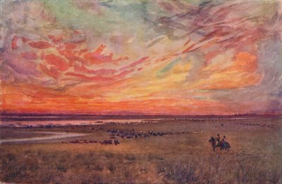 坎波，1916年 作者 欧内斯特·威廉姆·圣诞节