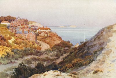 Boscombe Chine（彩色印刷版） 作者 欧内斯特·威廉·哈斯勒赫斯特