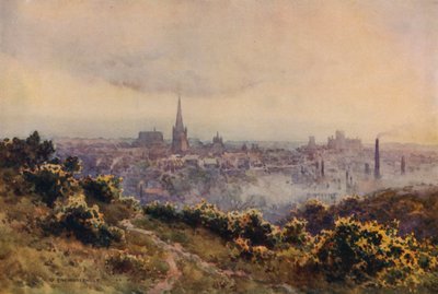 来自 Mousehold Heath 的诺维奇（彩色光刻） 作者 欧内斯特·威廉·哈斯勒赫斯特