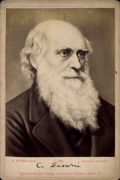 英国自然学家查尔斯·达尔文（Charles Darwin），c1860s-c1870s 作者 恩斯特·哈德（Ernst Hader）