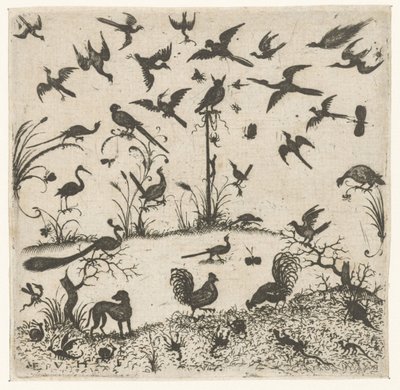鸟类
Schweifwerk 银匠装饰品（系列名称） 作者 埃赛亚斯·范胡尔森