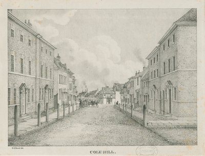 塔姆沃思（Tamworth）-科尔·希尔（Cole-hill）：石印版画，[1796-1865] 作者 艾蒂安·布鲁诺·哈默尔