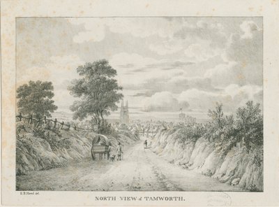 塔姆沃思-北方的远景：石版画，[1796-1865] 作者 艾蒂安·布鲁诺·哈默尔