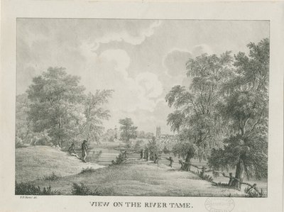 塔姆沃思-塔姆河：石版画，[1796-1865] 作者 艾蒂安·布鲁诺·哈默尔