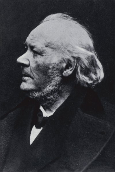 插画家Honore Daumier 作者 Etienne Carjat