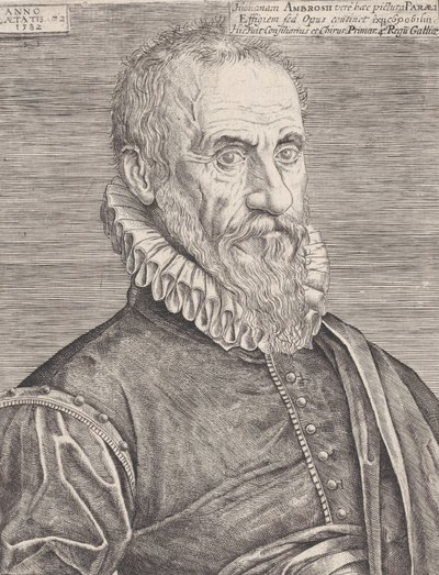 国王的外科医生安布罗斯-帕雷的画像，1582年。 作者 艾蒂安·德劳恩（Etienne Delaune）