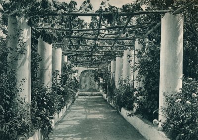 凉棚在葡萄园，意大利卡普里岛，1927年 作者 尤金·波普尔