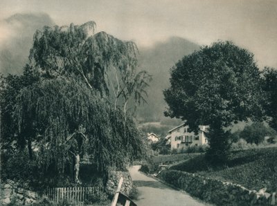 通往蒂罗尔城堡的路，梅拉诺，南蒂罗尔，意大利，1927年 作者 尤金·波普尔
