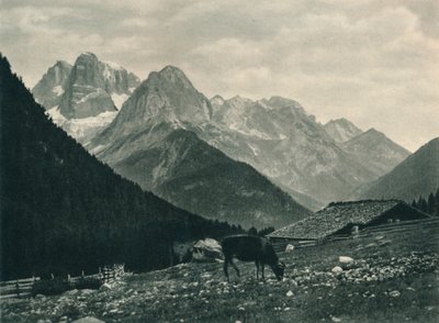 布伦塔群与高山牧场，意大利多洛米蒂山的圣母，唐娜，1927年的视图 作者 尤金·波普尔