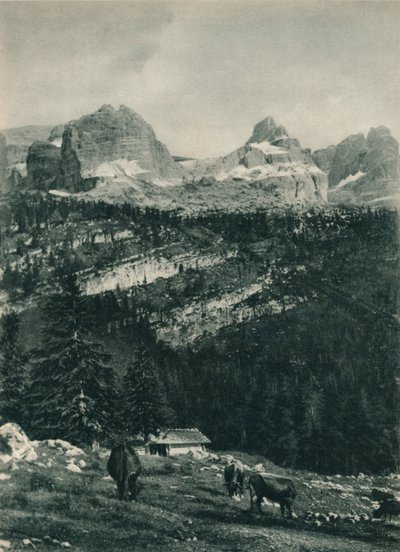 布伦塔群与高山牧场，意大利多洛米蒂山圣母玛利亚，坎皮利奥，1927年的视图 作者 尤金·波普尔