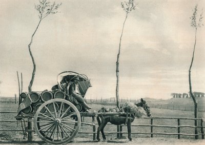 1927年在意大利罗马坎帕尼亚的葡萄酒运送车 作者 尤金·波普尔