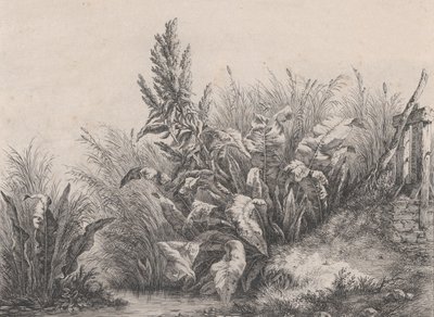 大水码头工厂，1840年。 作者 尤金·布莱