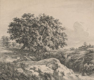 Le chêne au ravin 沟渠边的橡树，1845年。 作者 尤金·布莱