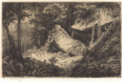 Les roches blanches White Rocks，1849年出版。 作者 尤金·布莱